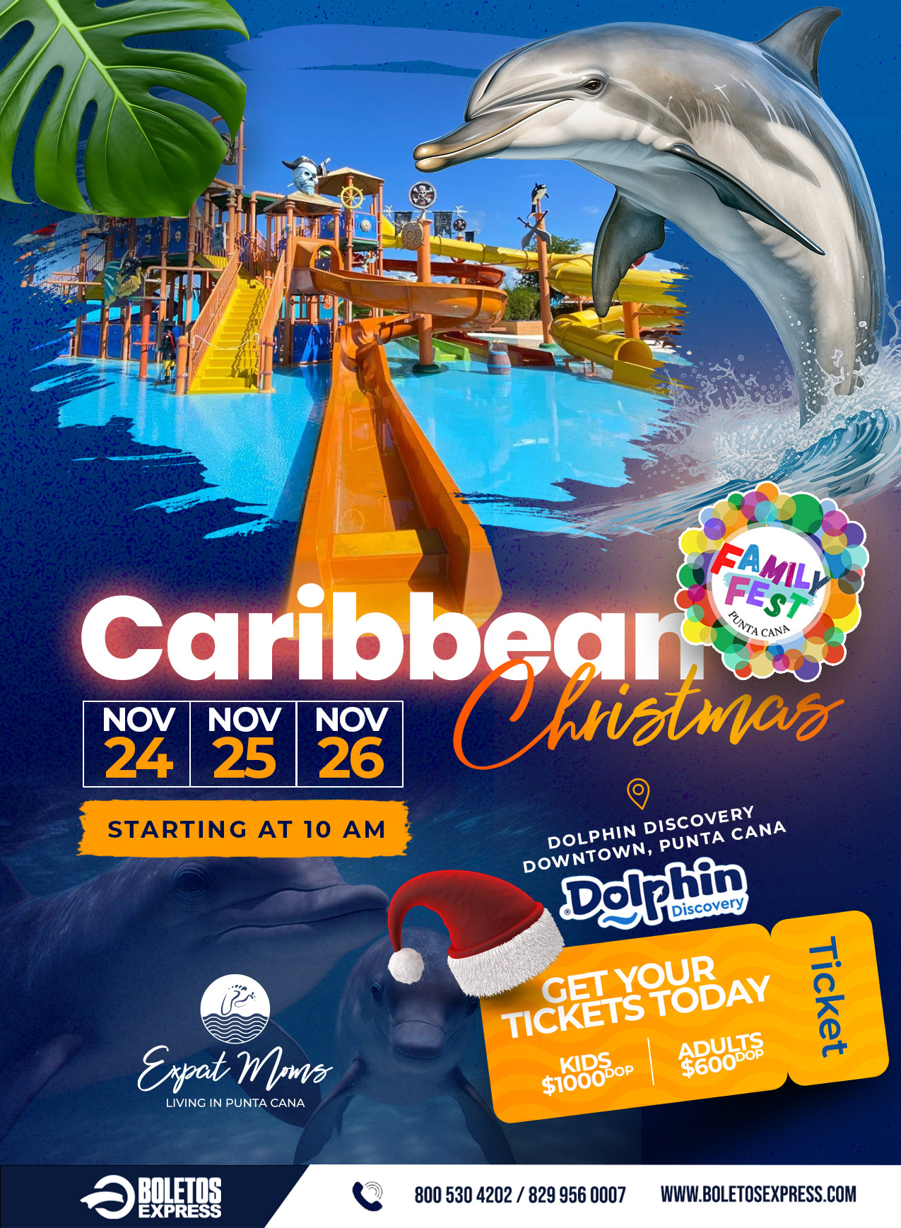 Caribbean Christmas Dolphin Discovery Punta Cana NOV 26 Tickets